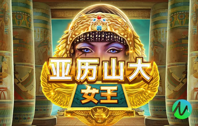 新澳内部资料精准大全
